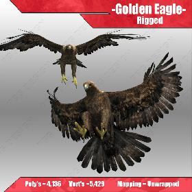Golden Eagle
